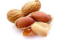 peanut