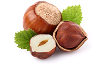 hazelnut